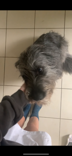 Demander une garde