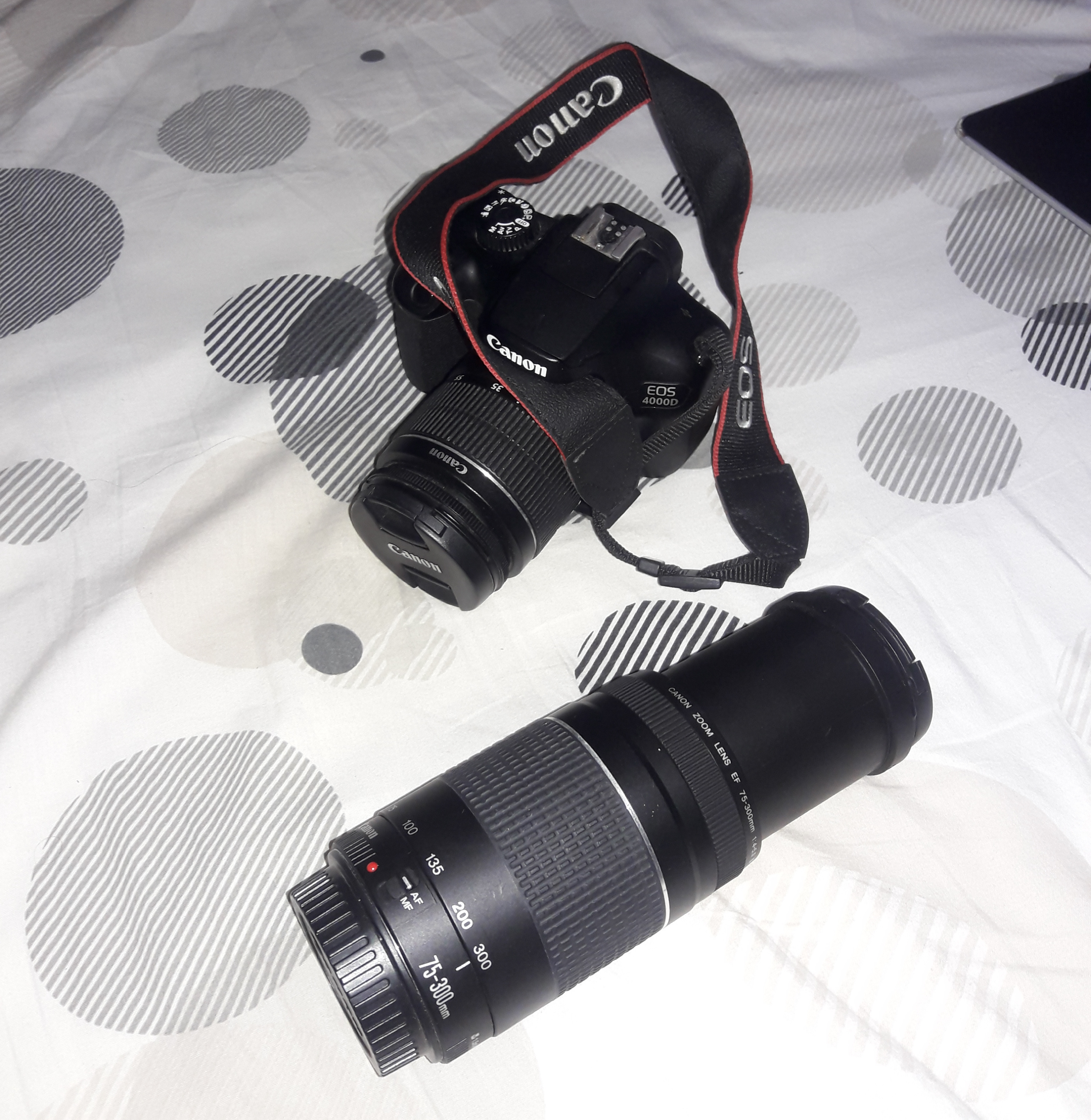 Location appareil photo numerique 85 entre particuliers