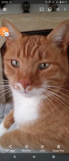 Service garde animaux entre particuliers