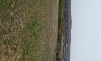 Louer la place
