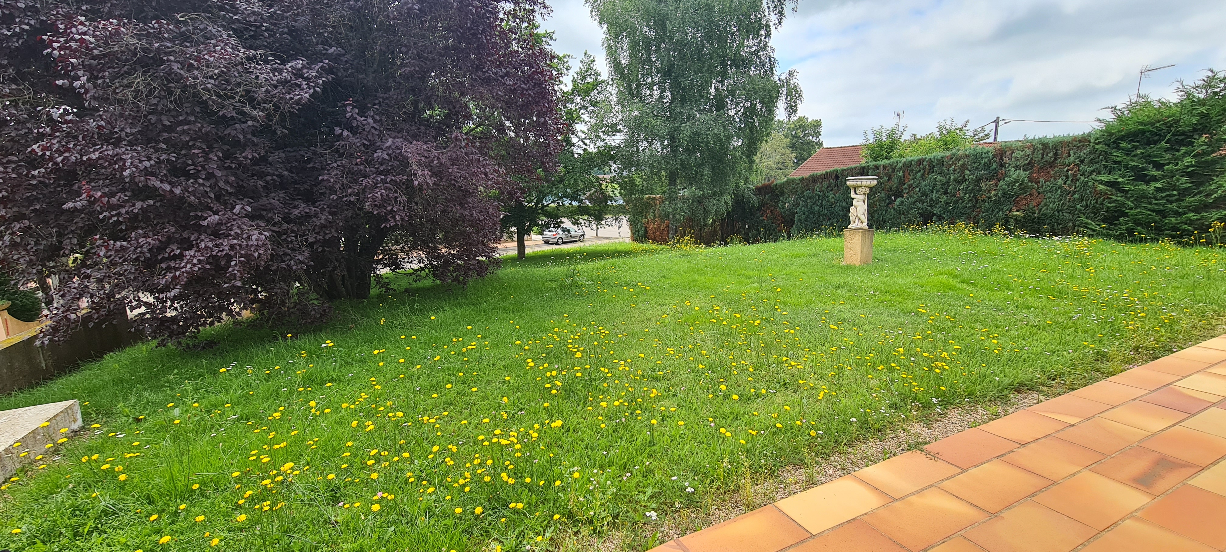 Service tonte de pelouse 71 entre particuliers