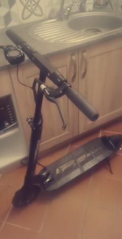 Service : traduction Service : traduction