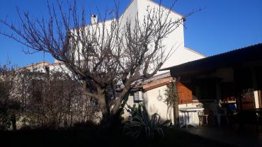 Service : elagage Service : elagage