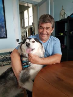 Service : chien Service : chien