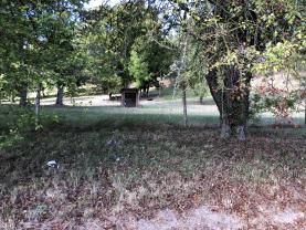 Service : aide aux courses Service : aide aux courses