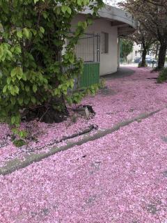 Service : menage Service : menage