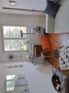 Demander ce catsitter