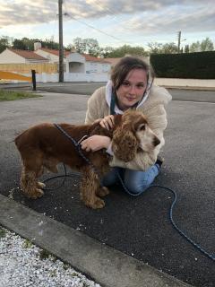 Service : garde animaux Service : garde animaux