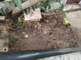 Location jardin