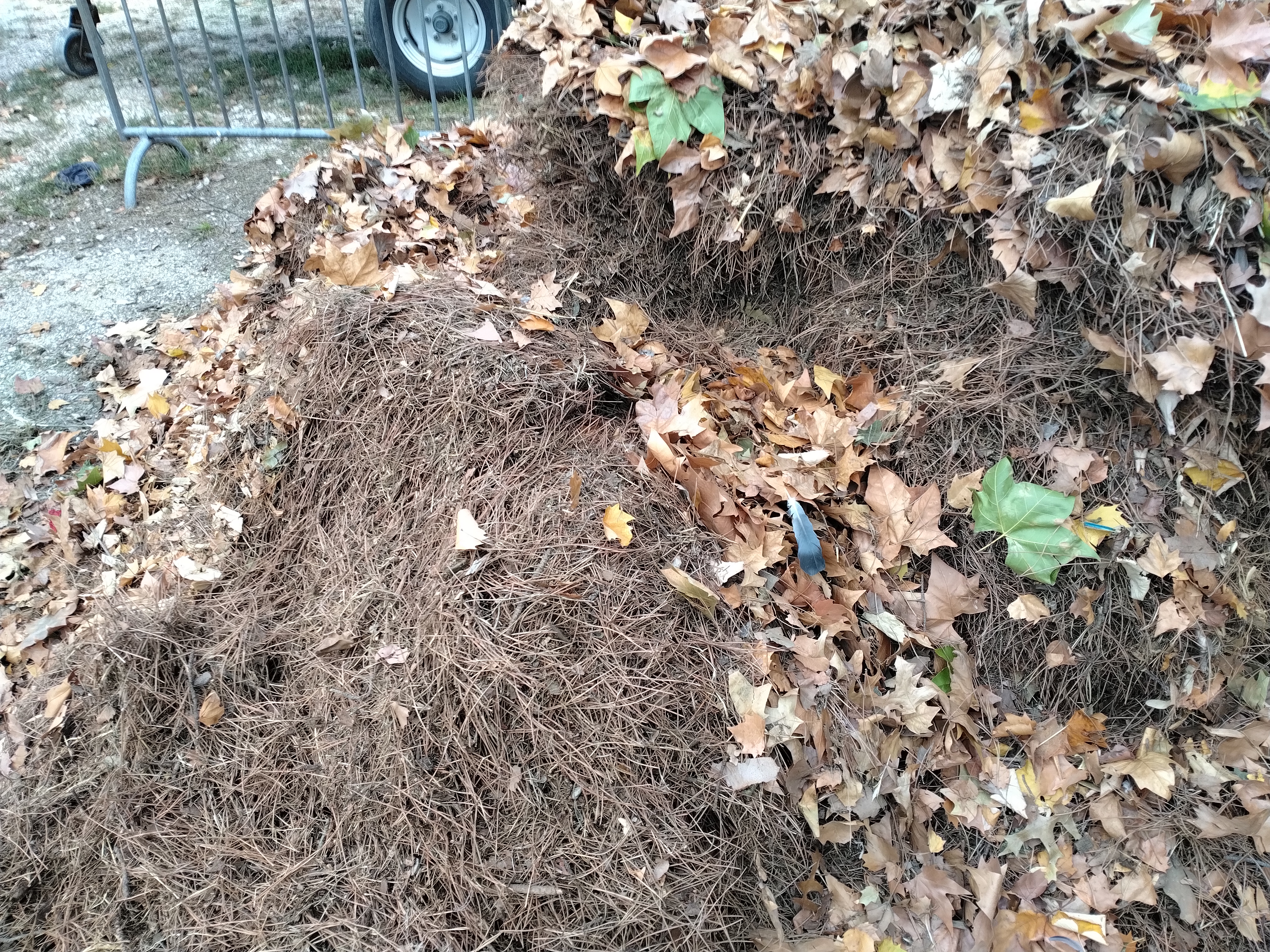 Location jardin entre particuliers (33)