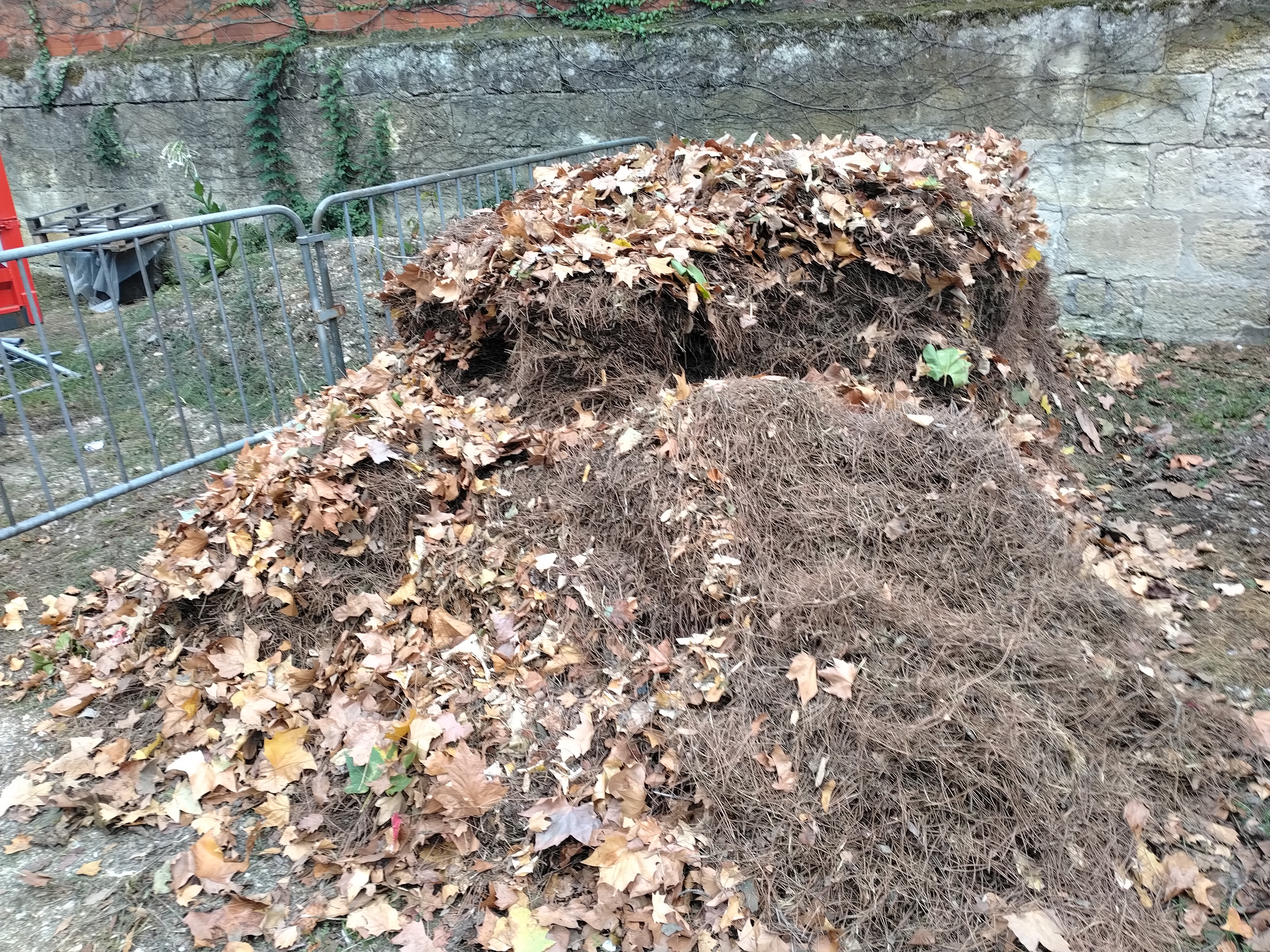 Location jardin entre particuliers (33)