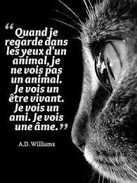Service chien 44 entre particuliers