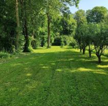 Louer le jardin