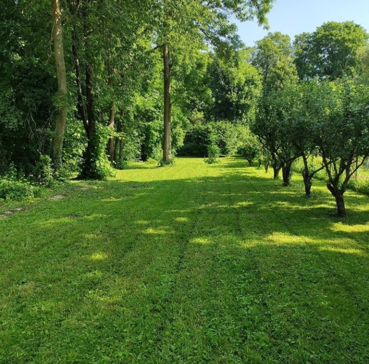 Location jardin 77 entre particuliers