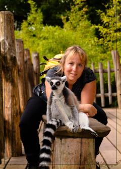 Service : chat Service : chat