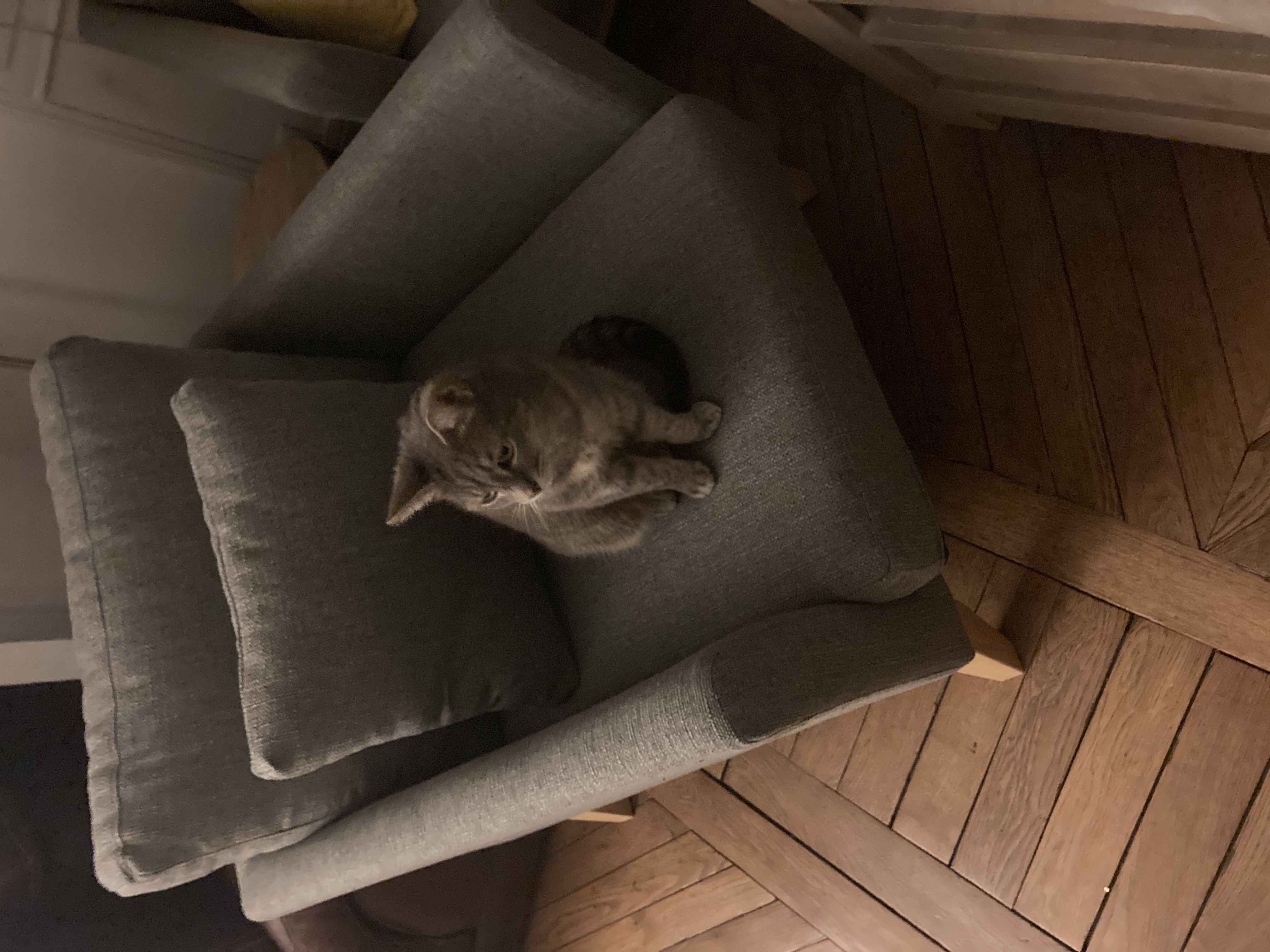 Service chat 95 entre particuliers