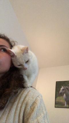 Service : garde animaux Service : garde animaux