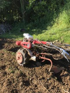 Service : jardinage Service : jardinage