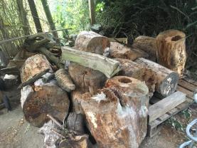 Location : tronconneuse Location : tronconneuse