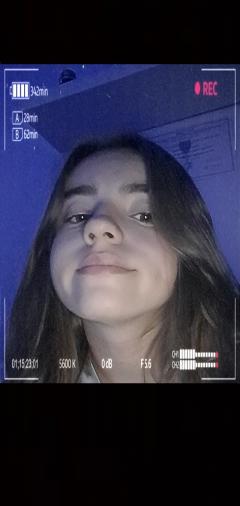 Service : garde animaux Service : garde animaux