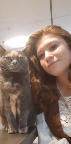 Demander ce catsitter