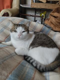 Demander une garde