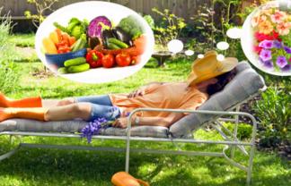 Location : jardin potager Location : jardin potager