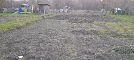 Service : amenagement jardin Service : amenagement jardin