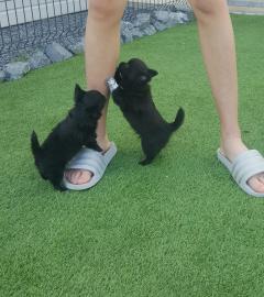 Service : aide personne Service : aide personne