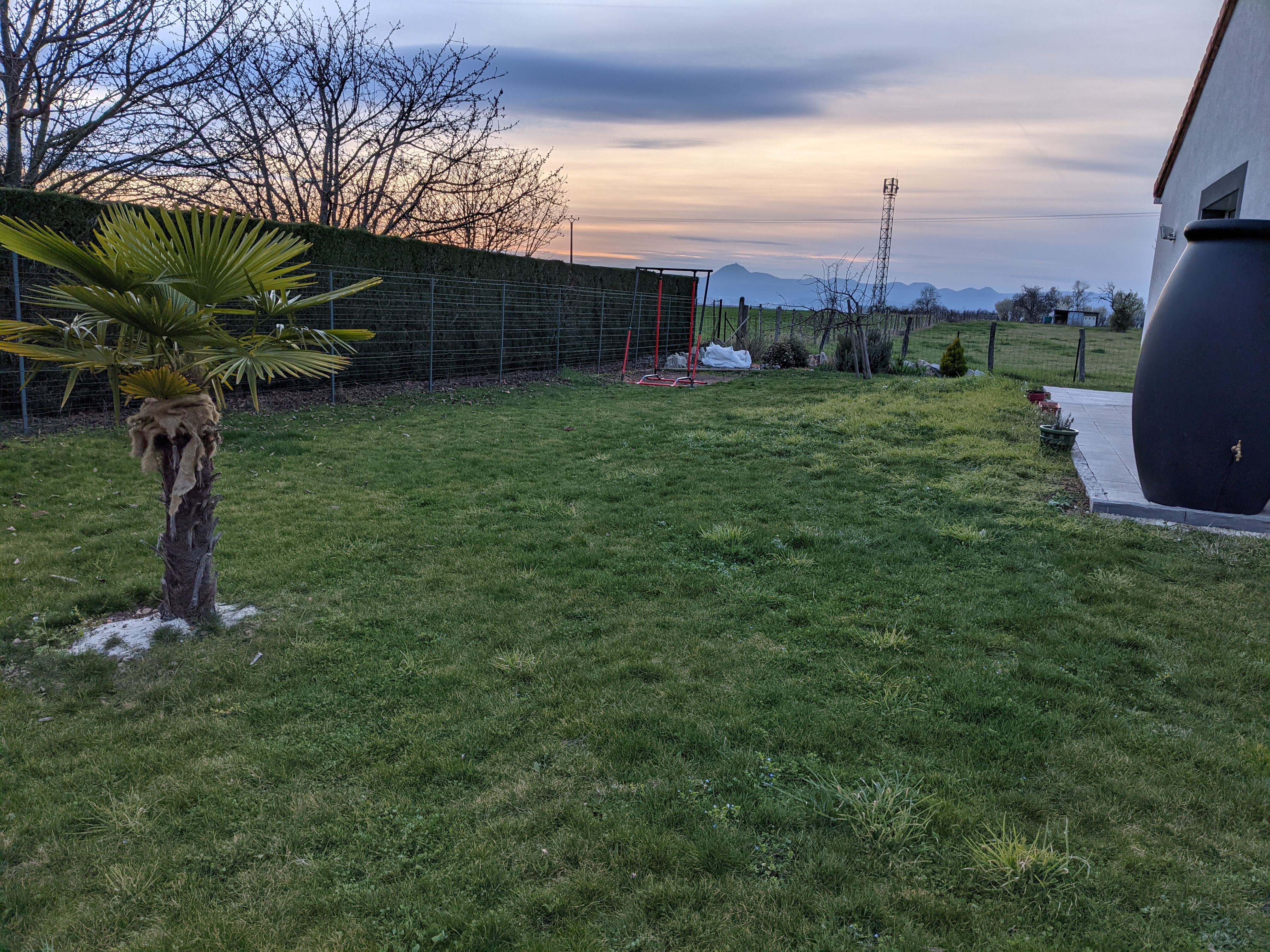 Service garde animaux 63 entre particuliers