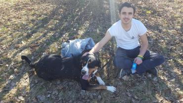 Service : garde animaux Service : garde animaux