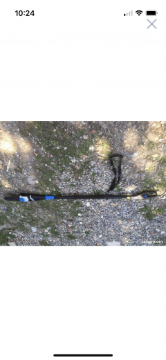 Location : elagueuse Location : elagueuse