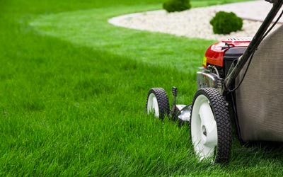 Service tonte de pelouse 57 entre particuliers