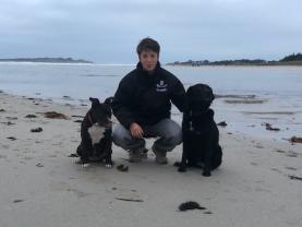 Service : chien Service : chien