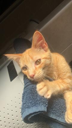Demander une garde