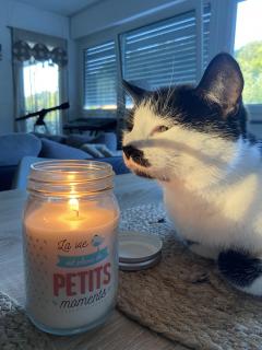 Service : service a personne Service : service a personne