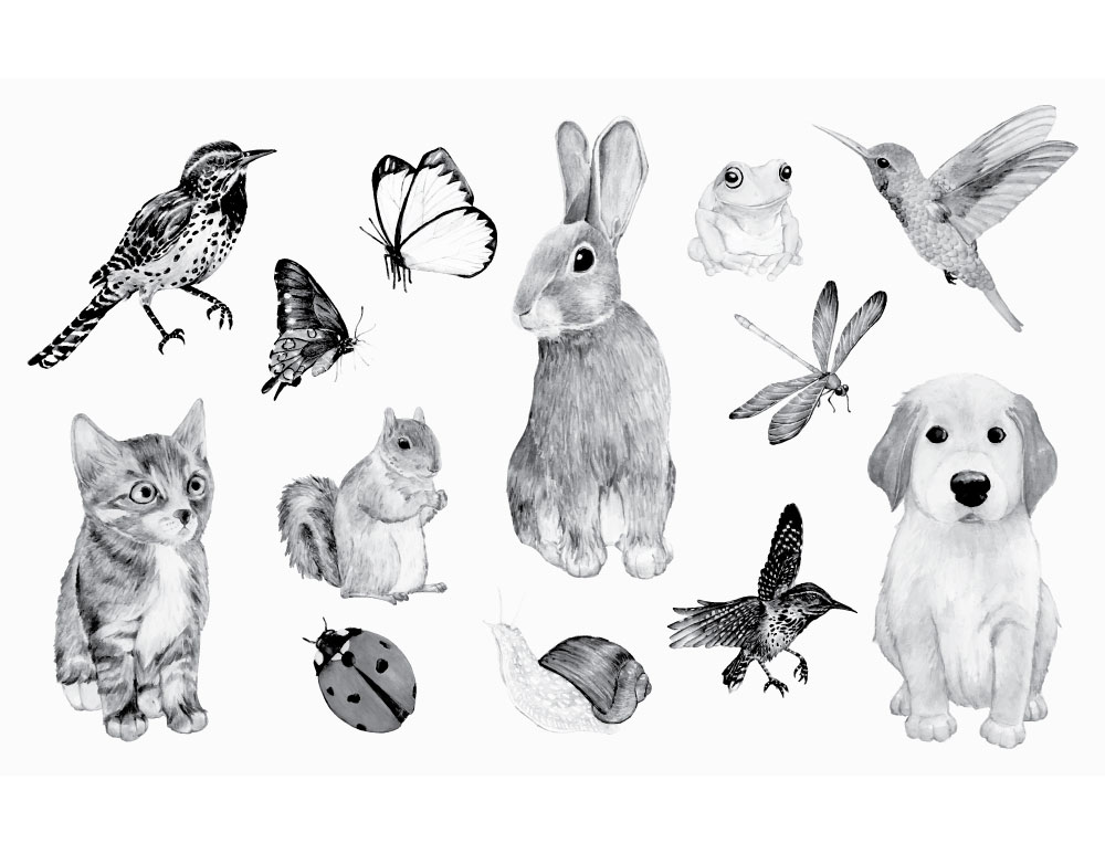 Service garde animaux 01 entre particuliers