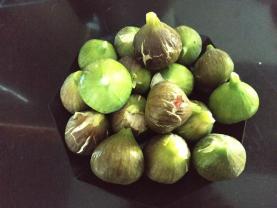 Service : plat seul Service : plat seul