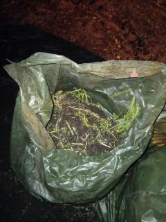 Service : debarras Service : debarras