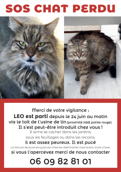 Proposer mes services