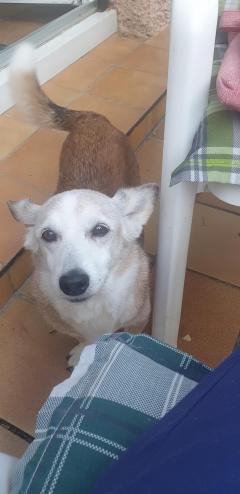 Demander une garde