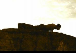 Service : coach sportif Service : coach sportif