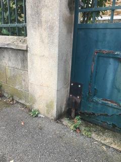 Proposer mes services
