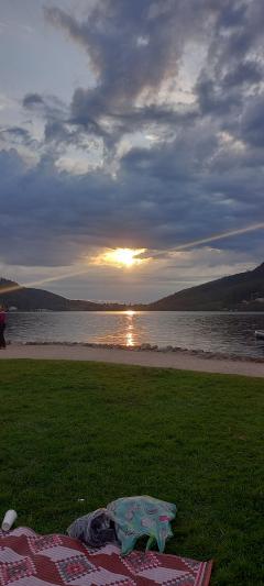 Service : aide aux courses Service : aide aux courses