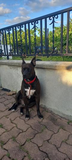 Service : gardiennage Service : gardiennage