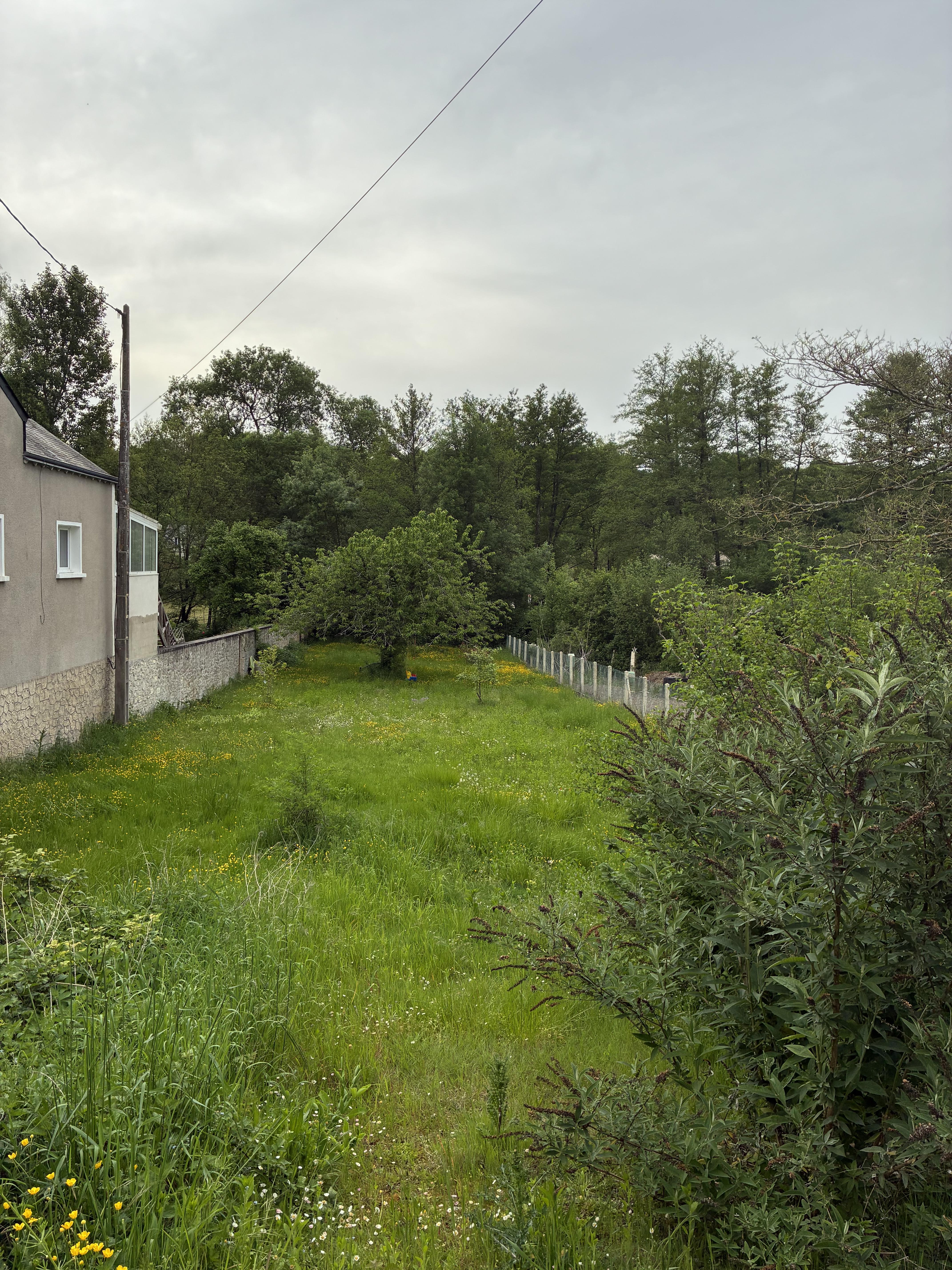 Service entretien jardin 41 entre particuliers