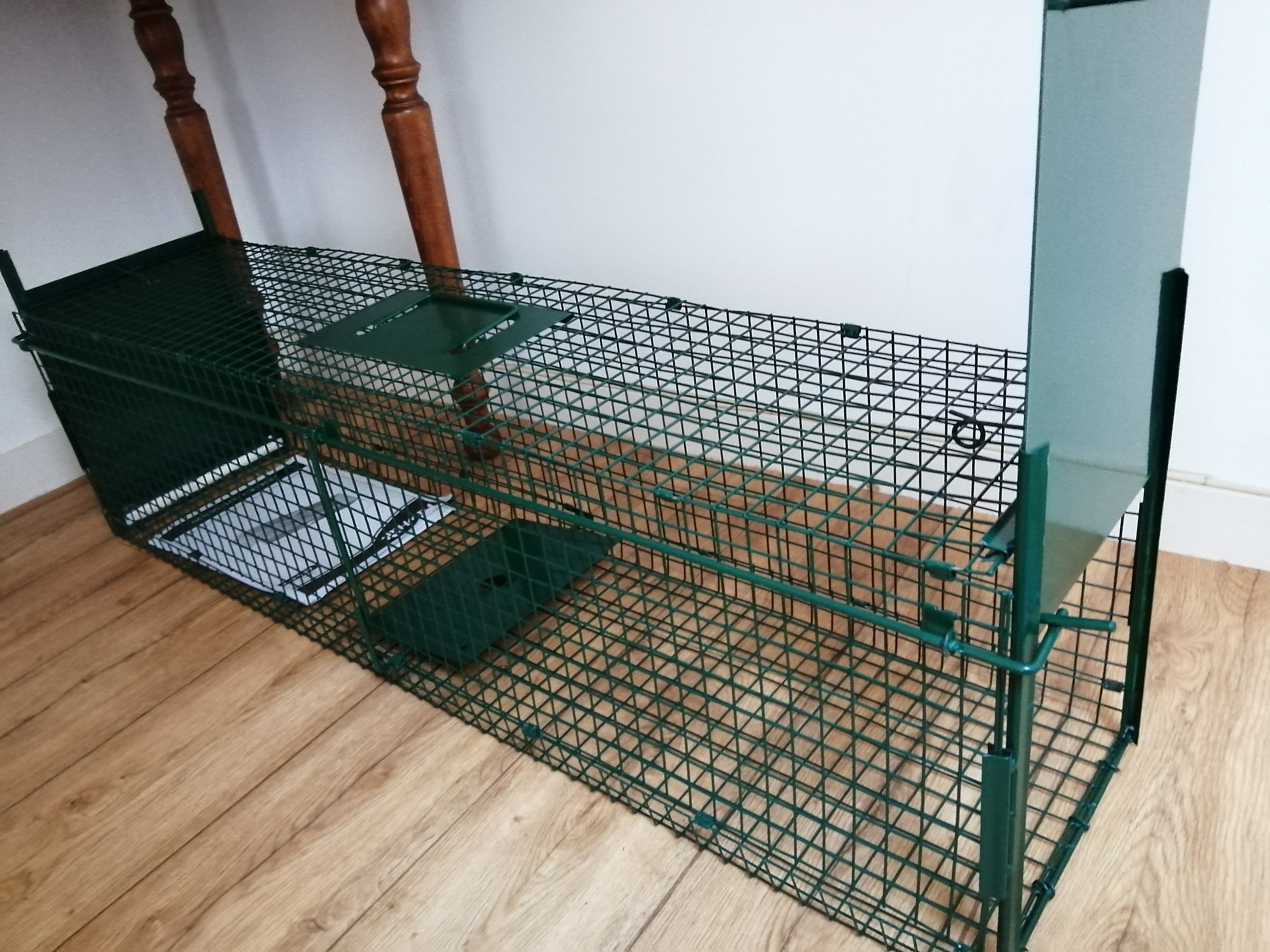 Location cage transport animaux 35 entre particuliers