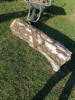 Location : tronconneuse Location : tronconneuse