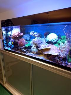 Service : autres cours particuliers Service : autres cours particuliers