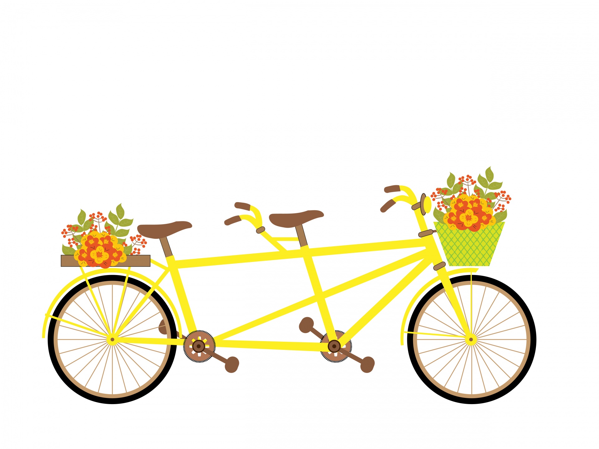 Location velos 59 entre particuliers